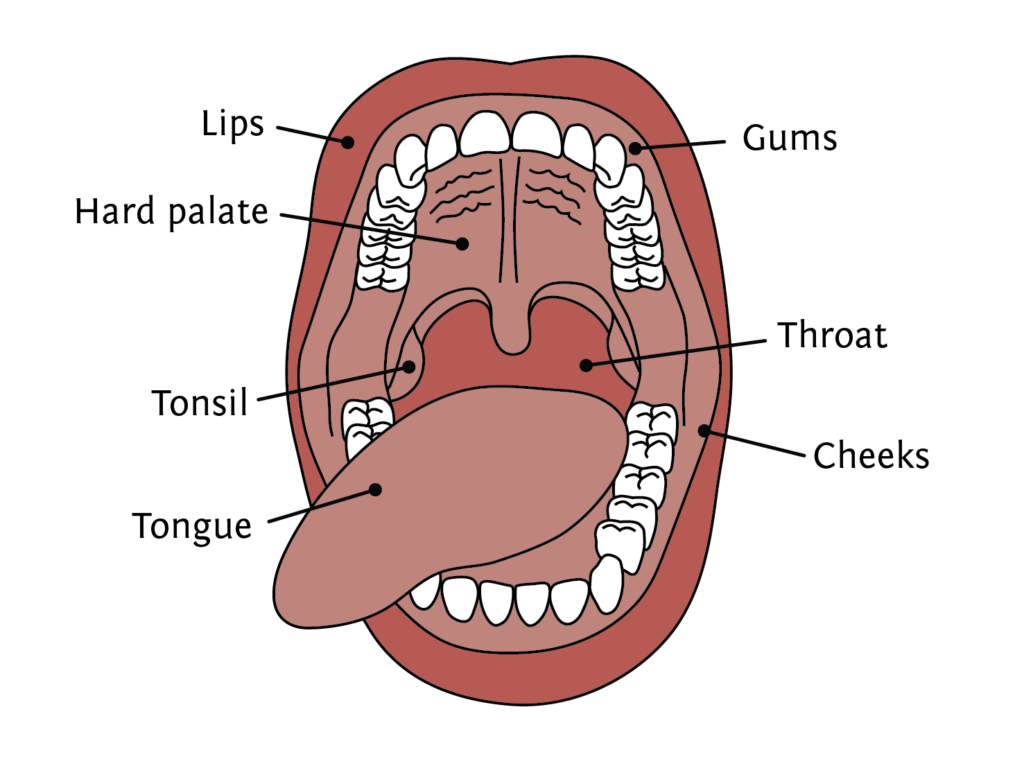 Oral Cancer Tmj Specialist Blog Dr Christine Wenrick