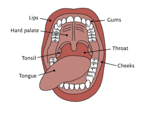 Oral Cancer 