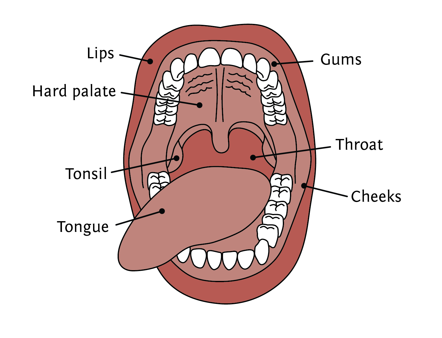 oral-cancer-tmj-specialist-blog-dr-christine-wenrick